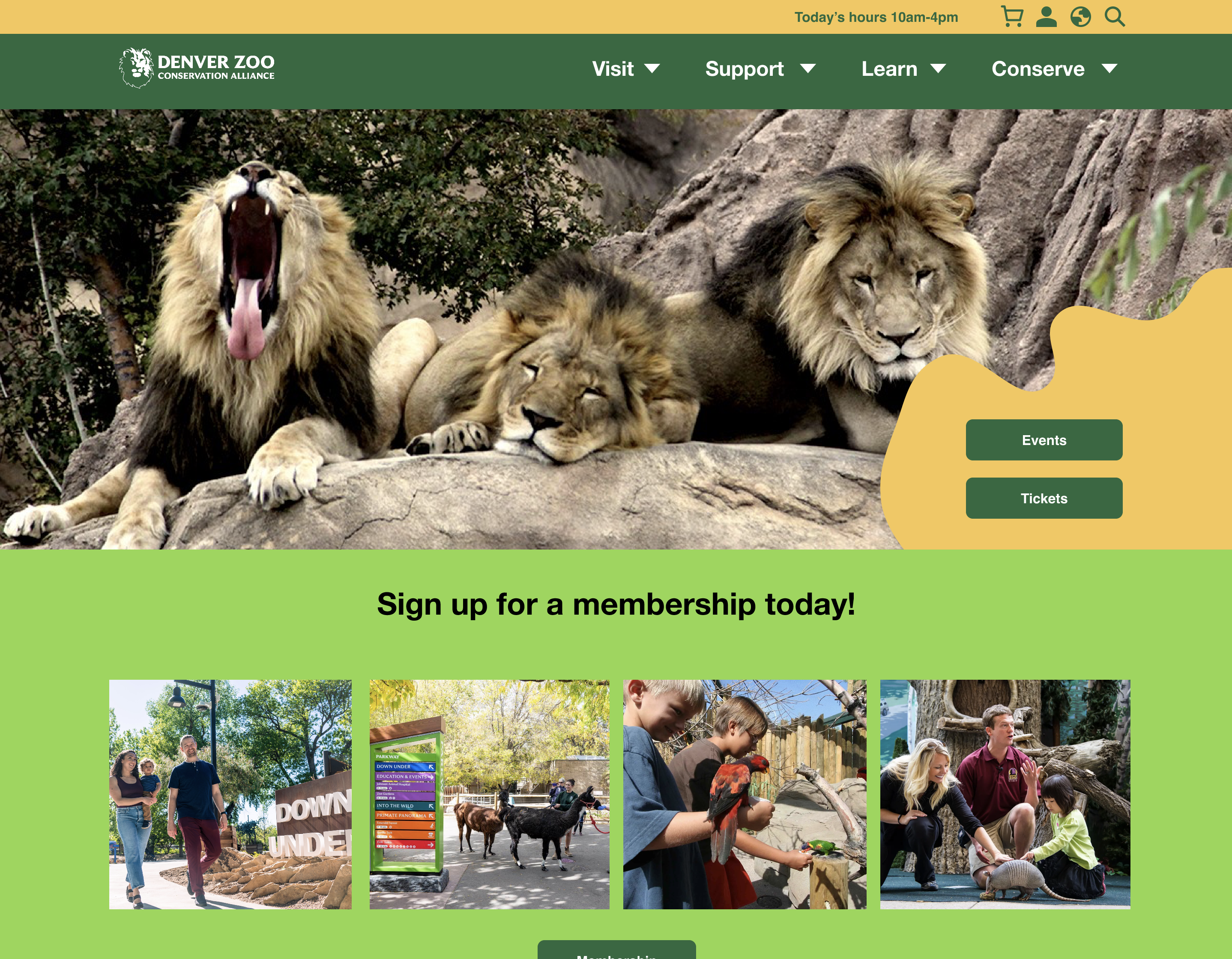 denver zoo redesign hero image